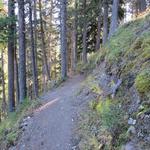 viele Weggabelung sind zu beachten. Der Vorteil dieser Variante ist, das man so viele Wanderer umgeht