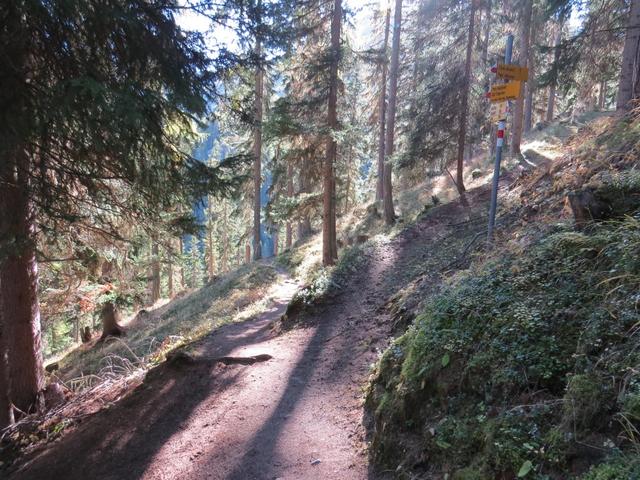 immer auf dem Hauptweg bleibend, erscheint schnell die nächste Weggabelung