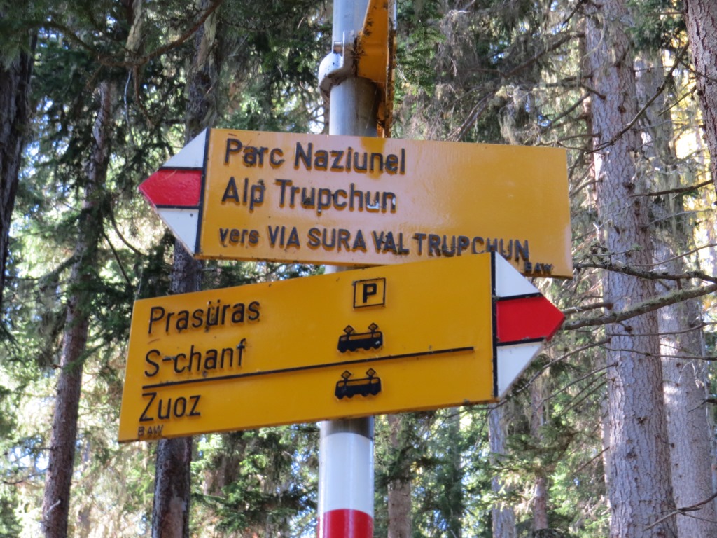 hier biegen wir rechts ab Richtung Alp Chaschanella bzw. Alp Vaüglia Suot