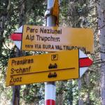 hier biegen wir rechts ab Richtung Alp Chaschanella bzw. Alp Vaüglia Suot