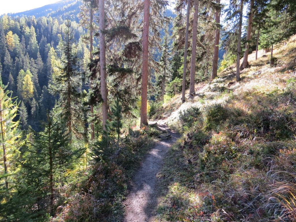relativ eben führt uns der Waldweg weiter, dann wendet sich der Weg leicht abwärts nach rechts ins Val da Scrings