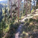 relativ eben führt uns der Waldweg weiter, dann wendet sich der Weg leicht abwärts nach rechts ins Val da Scrings