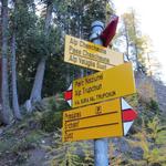 wir wandern weiter geradeaus nun Richtung Alp Trupchun