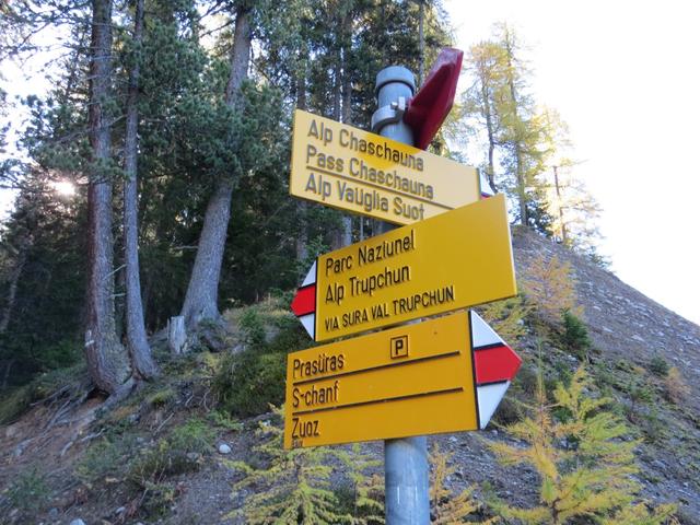 wir wandern weiter geradeaus nun Richtung Alp Trupchun