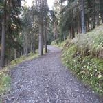 weiter auf der orografisch linken Seite des Val Trupchun geht es Richtung Alp Trupchun