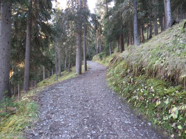 weiter auf der orografisch linken Seite des Val Trupchun geht es Richtung Alp Trupchun