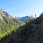 Blick taleinwärts in das Val Trupchun