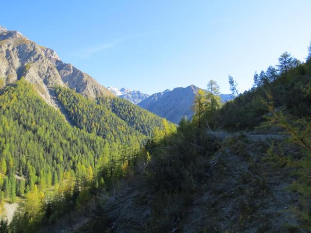 Blick taleinwärts in das Val Trupchun