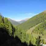 talauswärts erkennen wir das Val Susauna. Dieses Gebiet haben wir auch erwandert