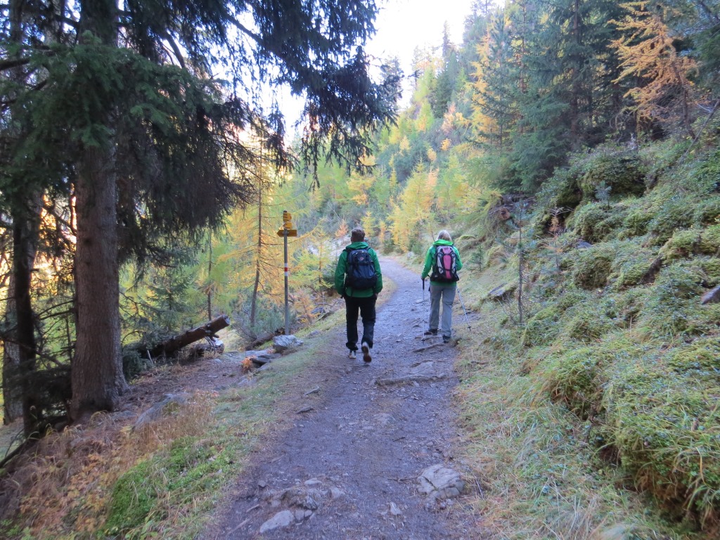 mitten im lichten Wald passieren wir die unauffällige Nationalpark-Grenze, und erreichen danach...