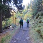 mitten im lichten Wald passieren wir die unauffällige Nationalpark-Grenze, und erreichen danach...
