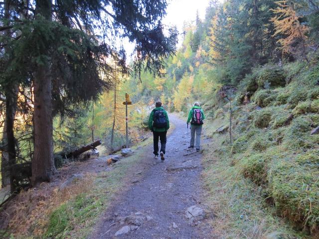 mitten im lichten Wald passieren wir die unauffällige Nationalpark-Grenze, und erreichen danach...