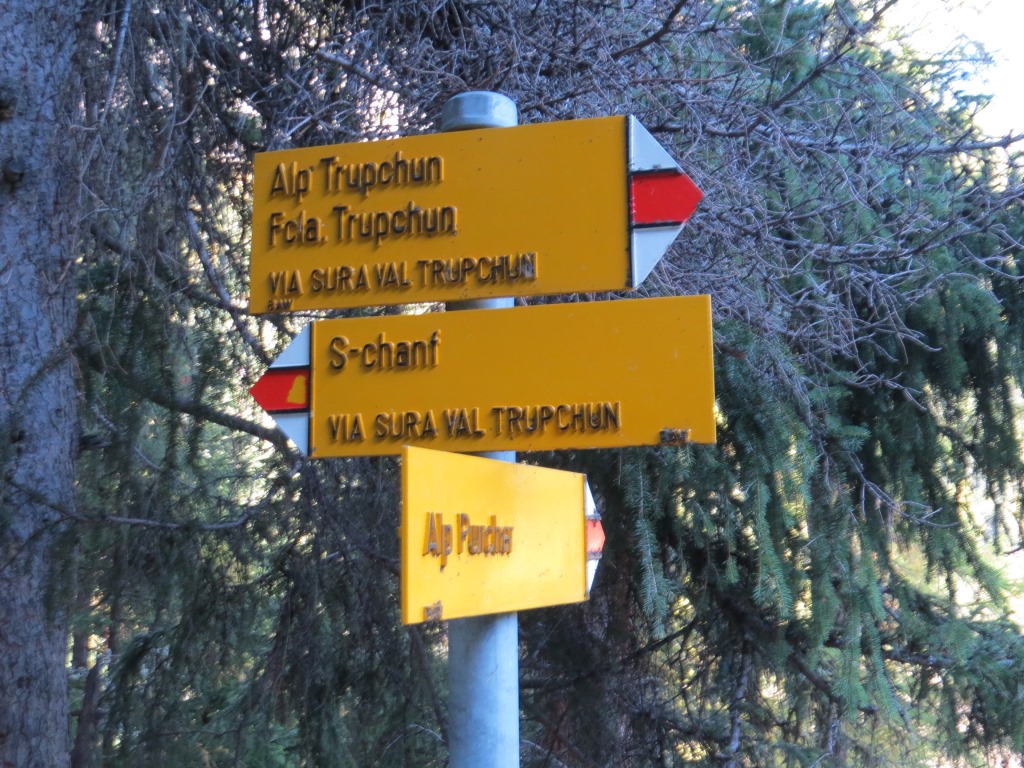 ...die Abzweigung zur Alp Purcher Punkt 1921 m.ü.M. Wir bleiben weiter auf dem oberen Weg
