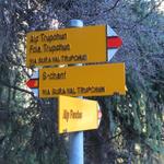 ...die Abzweigung zur Alp Purcher Punkt 1921 m.ü.M. Wir bleiben weiter auf dem oberen Weg