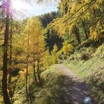 ...durch den Wald von God Purcher mit schöner Aussicht ins...