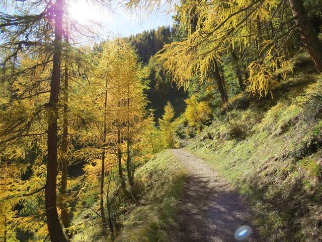 ...durch den Wald von God Purcher mit schöner Aussicht ins...