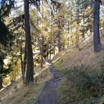 durch den Wald von God Malögetta und Trupchun, geht es weiter taleinwärts