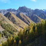 wir blicken zum Talende des Val Trupchun. Hinter dieser Bergkette liegt Italien und Livigno