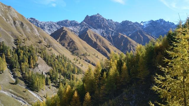 wir blicken zum Talende des Val Trupchun. Hinter dieser Bergkette liegt Italien und Livigno