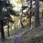 der Wanderweg senkt sich nun langsam zum Talboden und zur Ova da Trupchun hinunter