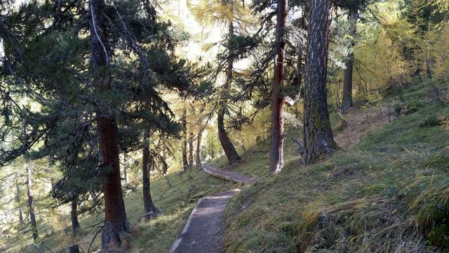 der Wanderweg senkt sich nun langsam zum Talboden und zur Ova da Trupchun hinunter