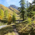wir erreichen den Talboden und überqueren über eine Holzbrücke...