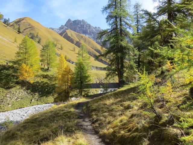 wir erreichen den Talboden und überqueren über eine Holzbrücke...