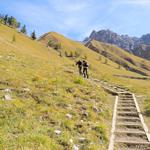 auf der anderen Seite des Baches geht es über ein paar Holzstufen hinauf...