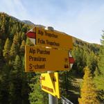 ...zur Weggabelung bei Punkt 1995 m.ü.M. wo wir rechts abbiegen