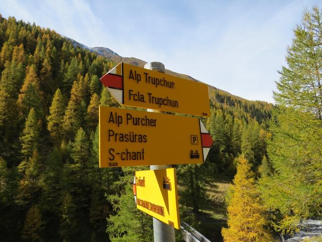 ...zur Weggabelung bei Punkt 1995 m.ü.M. wo wir rechts abbiegen