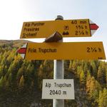 weiter geht es über breite Geröllablagerungen eines Bergbaches, zu den Alphäuser auf der Alp Trupchun 2040 m.ü.M.