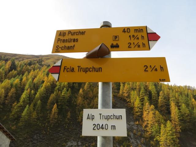 weiter geht es über breite Geröllablagerungen eines Bergbaches, zu den Alphäuser auf der Alp Trupchun 2040 m.ü.M.