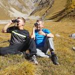 wir befinden uns im Territorium der Hirsche. Wir suchen mit dem Fernglas die röhrenden Hirsche