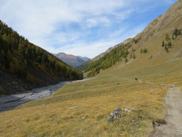 für den Rückweg wählten wir wie eingeplant die Route auf der orografisch rechten Talseite des Val Trupchun