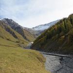das Val Trupchun wird auch die "Serengeti der Alpen" genannt