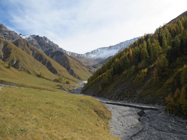 das Val Trupchun wird auch die "Serengeti der Alpen" genannt