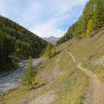 vorbei an den Alphäuser auf der Alp Trupchun 2040 m.ü.M. erreichen wir wieder die Weggabelung bei Punkt 1995 m.ü.M.