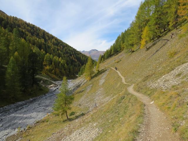 vorbei an den Alphäuser auf der Alp Trupchun 2040 m.ü.M. erreichen wir wieder die Weggabelung bei Punkt 1995 m.ü.M.