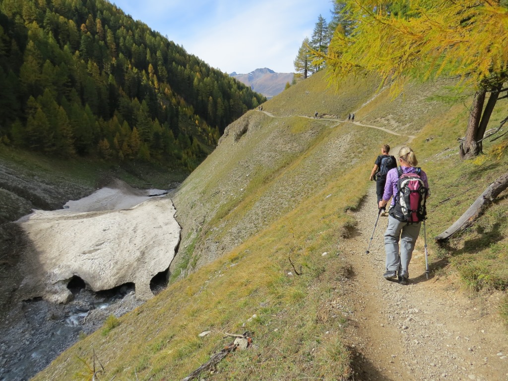 wir biegen nicht links hinab zum Bach, sondern bleiben auf dem Hauptweg...