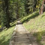 kurz vor der Einmündung des Val Müschauns geht es dann in einigen Serpentinen wieder steiler hinab