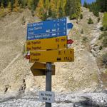 wir umgehen so eine markant gefaltete Felswand und erreichen kurz danach die Alp Purcher 1857 m.ü.M.