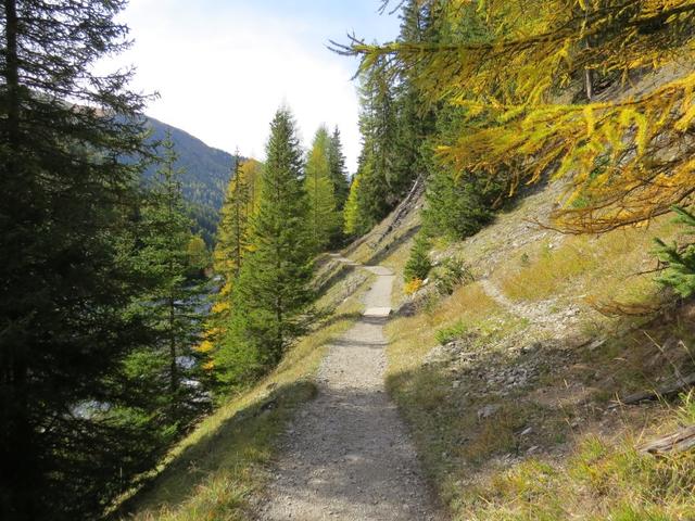 der Weg führt weiter durch lichten Wald...