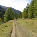 ...und Wiesen sanft bergab...