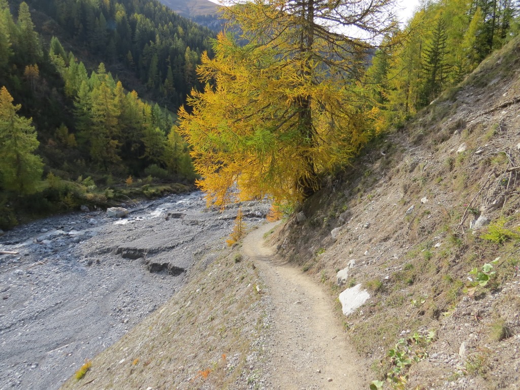 ...und verlässt schliesslich den Nationalpark
