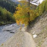 ...und verlässt schliesslich den Nationalpark