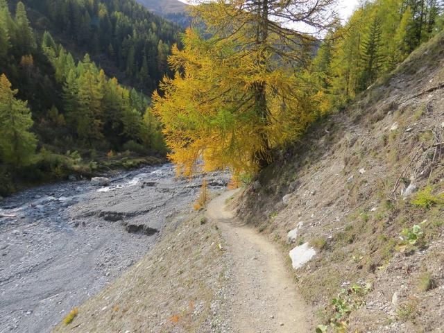 ...und verlässt schliesslich den Nationalpark