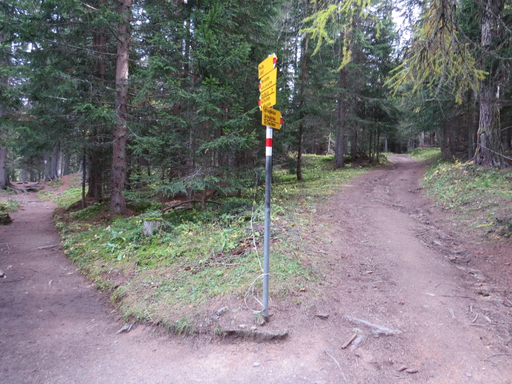 nach einiger Zeit mündet der Höhenweg in den Weg, dem wir zu Beginn der Wanderung gefolgt sind