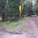 nach einiger Zeit mündet der Höhenweg in den Weg, dem wir zu Beginn der Wanderung gefolgt sind