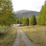 auf diesem geht es in wenigen Minuten bergab zum Parkplatz Prasüras 1690 m.ü.M. zurück