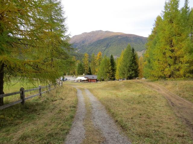auf diesem geht es in wenigen Minuten bergab zum Parkplatz Prasüras 1690 m.ü.M. zurück